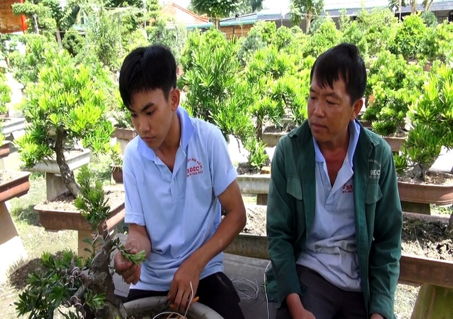 Chơi bonsai- không chỉ là một thú vui tao nhã