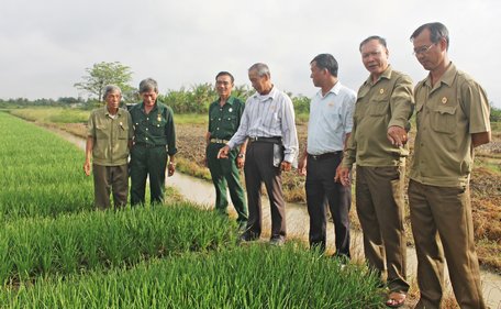 Cựu chiến binh các địa phương trong tỉnh tham quan mô hình, chia sẻ kinh nghiệm làm kinh tế. Ảnh: XUÂN TƯƠI