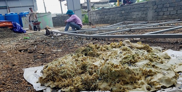 Người dân còn phát hiện có một khối chất đặc, nhìn bề ngoài hơi nhầy ở trong kho này – Ảnh: QUỐC NAM