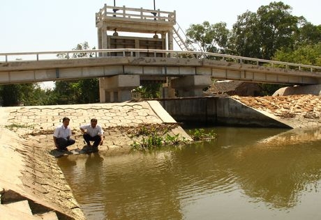 Hệ thống cống đập trữ ngọt, ngăn mặn bảo vệ sản xuất lúa ở Long Mỹ (Hậu Giang).