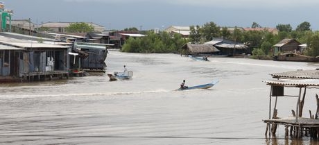 Theo các nhà khoa học, quy hoạch phát triển vùng ĐBSCL nên áp dụng nguyên tắc “không hối tiếc”, tôn trọng quy luật tự nhiên…