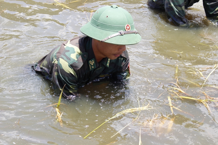 Con nước lũ dâng cao bất ngờ khiến cho 20ha lúa của người dân ở xã Thái Trị (huyện Vĩnh Hưng- Long An) chìm trong biển nước. Chiến sĩ đồn biên phòng Long Khốt đã 4 ngày liên tiếp trầm mình dưới nước giúp dân cứu lúa. Không chỉ cắt lúa, các anh còn vận chuyển và giúp dân suốt lúa.