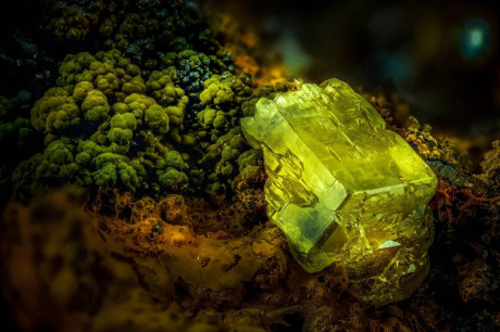 Tinh thể Pyromorphite (hình chữ nhật) hiện ra lung linh trong thế giới của những thứ siêu nhỏ.