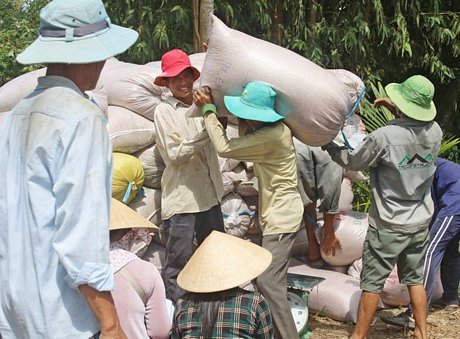 Tiêu chí thu nhập là một trong những tiêu chí khó giữ vững vì yêu cầu tăng thu nhập bình quân đầu người qua từng năm.