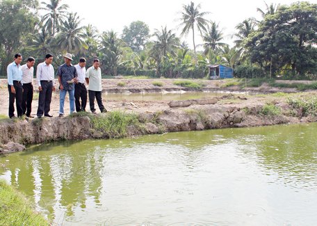 Lãnh đạo Hội Nông dân các cấp tham quan mô hình sản xuất giỏi của nông dân.
