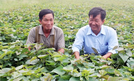 Anh Bảy Chòi (trái) là “gương sáng” nông dân trong thời đại mới.