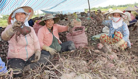  Qua phong trào thi đua đã góp phần tích cực tạo việc làm cho lao động nông thôn.