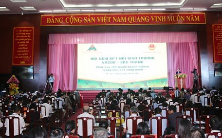 Các đại biểu tham dự Hội nghị.