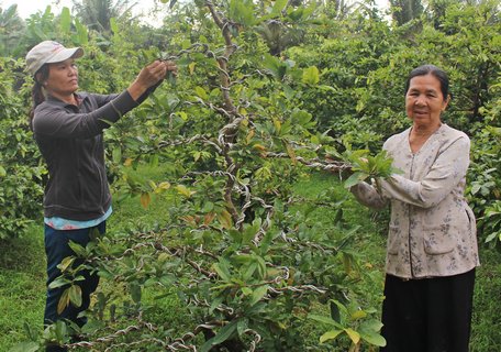 Bà Nguyễn Thị Bảy (phải) đã hiến đất, góp tiền để cùng Nhà nước xây đường giao thông.