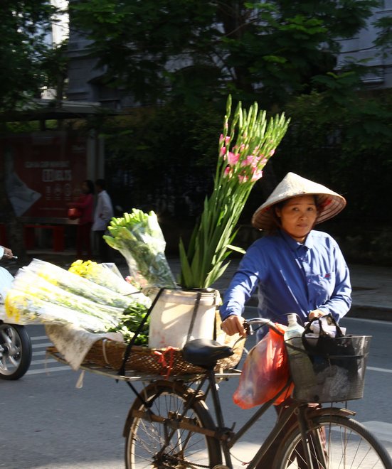 Bạn có thể dễ dàng bắt gặp hình ảnh những chiếc xe đạp bán rau củ, hoa quả… rất đỗi thân quen và bình dị giữa lòng thủ đô ồn ả.