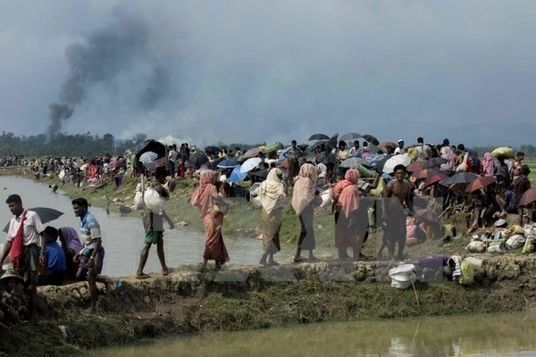 Người tị nạn Rohingya tại khu vực Ukhia, trên biên giới Bangladesh-Myanmar sau khi rời bỏ nhà cửa tránh xung đột ở Rakhine. (Nguồn: AFP/TTXVN)
