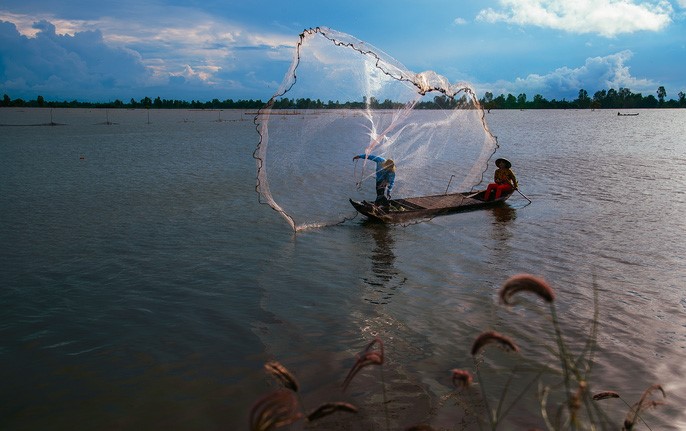 Quăng chài là cách khai thác cá khá đơn giản nhưng không phải ai cũng biết làm