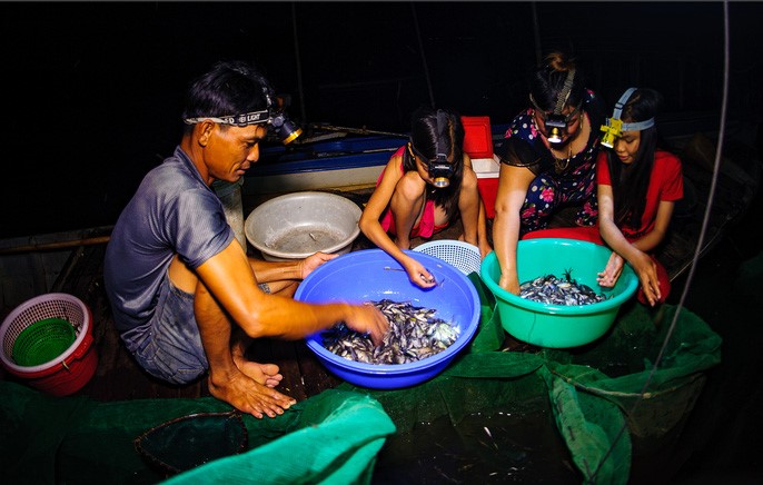 Công đoạn cuối cùng là phân loại cá để bán lại cho các bạn hàng đem đi phân phối khắp nơi