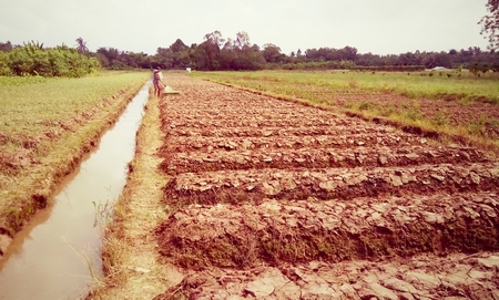 Với vài công rẫy, nhưng biết tính toán chú Lê Văn Út vẫn có thể tạo thu nhập hàng trăm triệu đồng mỗi năm.