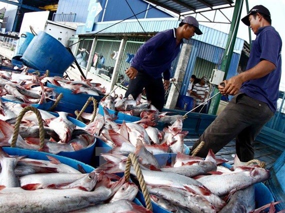 Ngư dân Việt Nam khai thác thủy sản. Ảnh: AFP. 
