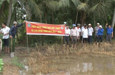 Buổi ra quân diệt chuột bảo vệ mùa màng có khá đông người tham gia.