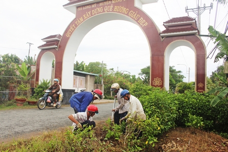 Hội viên nông dân xã Long Mỹ tiến hành trồng hoa hoàng yến làm đẹp làng quê.