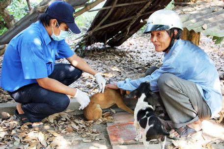 Cán bộ Chi cục Chăn nuôi và Thú y tỉnh ra quân tiêm phòng bệnh dại chó.