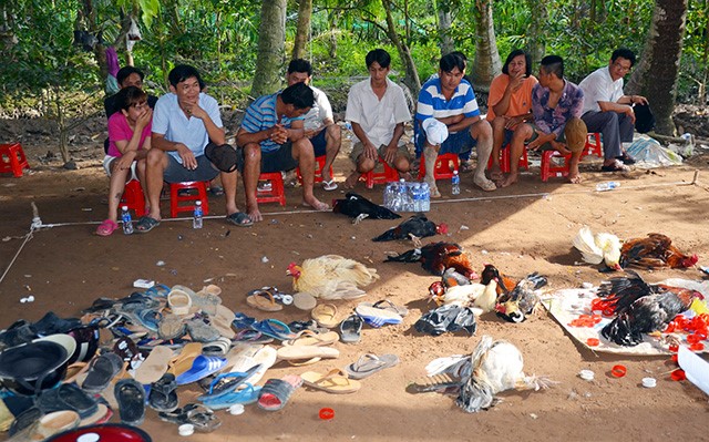 Tang vật bị thu giữ.