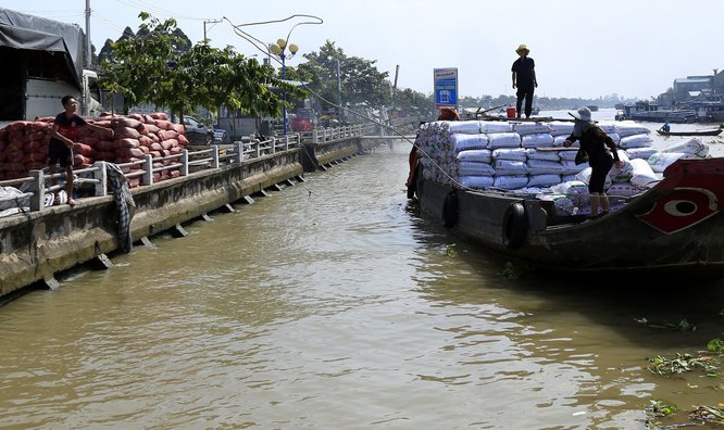  Ghe phân rơm, phân trấu liên tục cập bến để kịp giao hàng cho nông dân.