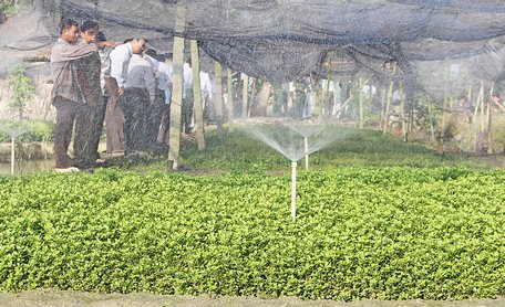 Năm 2018, mỗi huyện- thị- thành hội sẽ thành lập 1 câu lạc bộ cựu chiến binh sản xuất, kinh doanh giỏi. 