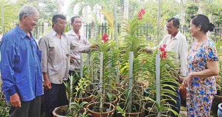 Việc đầu tư mô hình trồng lan đã tạo điều kiện cho người dân có thêm thu nhập lúc nhàn rỗi.  