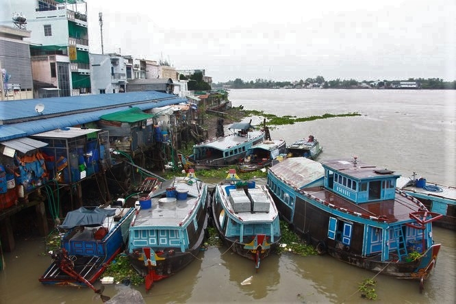 Tàu, thuyền đã neo đậu nơi an toàn.