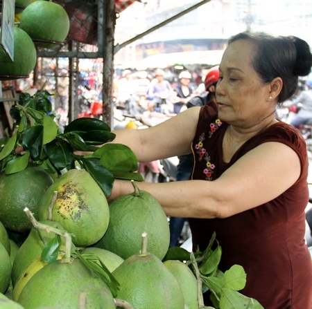 Giá bưởi ở mức thấp nhất trong năm