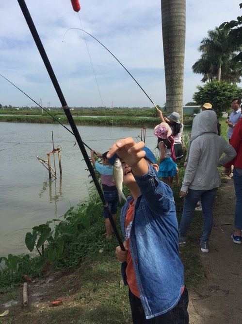  Câu cá miệt vườn.