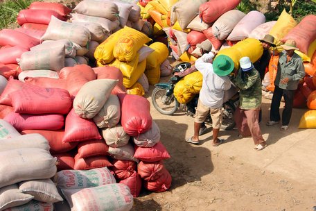 Cơ cấu lại ngành nông nghiệp dần có hiệu ứng, góp phần thúc đẩy tăng trưởng.