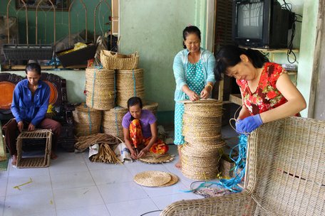 HTX Liên minh Ngãi Tứ giải quyết việc làm cho nhiều lao động tại địa phương với thu nhập khá.