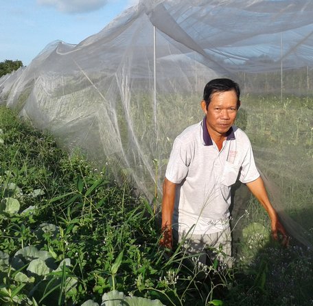 Lưới bao xung quanh nên hạn chế sâu bệnh từ ngoài tấn công vào, hạn chế đáng kể số lần phun xịt thuốc.