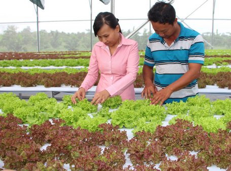 Mô hình khởi nghiệp của anh Lê Hữu Anh Khôi được hội đồng tư vấn khởi nghiệp đánh giá cao. 