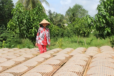 Bánh tráng cù lao Mây được phơi dưới nắng quê trong lành.