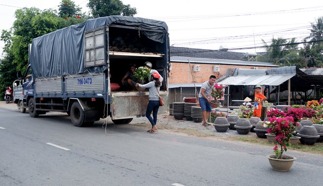 Xe tải liên tục lên hoa tại các tuyến đường.