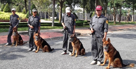 Các chiến sĩ huấn luyện cùng lực lượng “cảnh khuyển” chuẩn bị ra thao trường luyện tập.