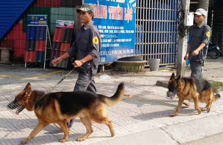 Lực lượng cảnh khuyển thực hiện nhiệm vụ tuần tra kiểm soát. 