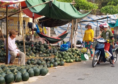 Dưa hấu bán “giá vốn”.