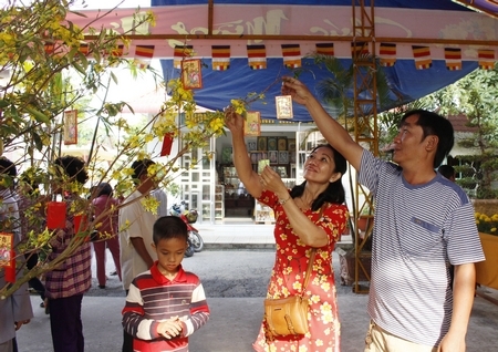 Những bao lì xì đỏ thắm được treo trên cây mai- là lộc trong năm mới với những lời chúc an lành, hạnh phúc.