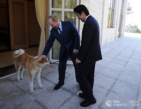 Tổng thống Putin 