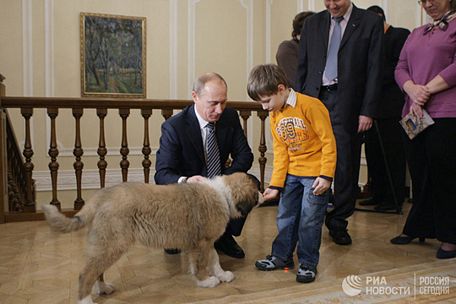 Cậu bé Dima, 5 tuổi, người chiến thắng trong cuộc thi đặt tên cho con chó Bulgaria của ông Putin, làm quen với con chó con hôm 9-12-2010. Ảnh: RIA NOVOSTI