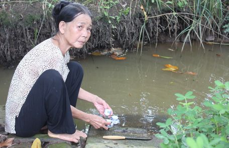 Rồi một ngày chợt như tìm thấy bao thơ ấu tinh khôi...