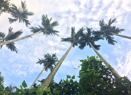 ... Mà tháng rộng năm dài ngỡ đã vào quên lãng.