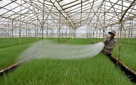 Nông nghiệp chiếm khoảng 70% tổng lượng nước ngọt toàn cầu thu hồi để đáp ứng nhu cầu lương thực. (Ảnh minh họa: KT)