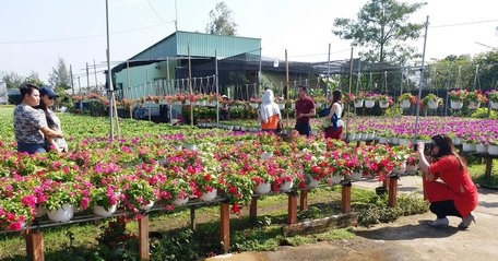 Thôi những ngày tháng vi vu tết để tăng tốc cho năm mới.Ảnh minh họa