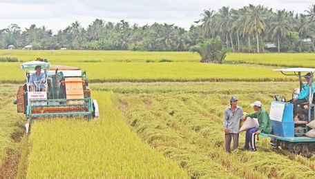 Thực hiện đề án cơ cấu lại ngành nông nghiệp gắn với xây dựng nông thôn mới đã góp phần nâng cao đời sống người dân xã Hòa Hiệp.