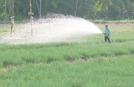 Năm 2017, Vĩnh Long có 39 xã NTM và TX Bình Minh đã hoàn thành nhiệm vụ xây NTM cấp huyện theo đúng lộ trình đề ra.