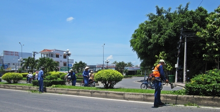 Công ty CP Công trình công cộng đã tích lũy được nhiều kinh nghiệm hoạt động, trong đó có quản lý và chăm sóc cây xanh.