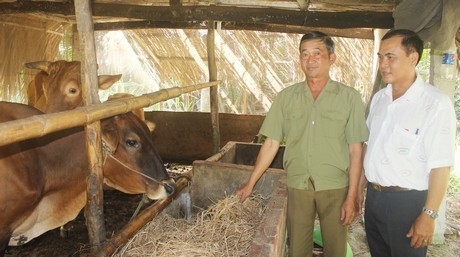 Nhờ nguồn góp vốn sản xuất, ông Sáng (trái) đã có điều kiện vươn lên.