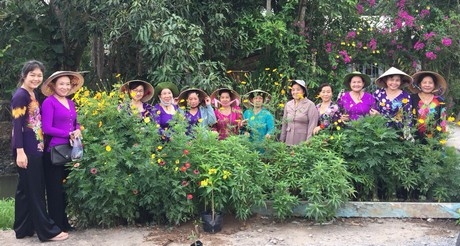 Hội LHPN Phường 8 ra quân trồng cây xanh tại Khóm 4.